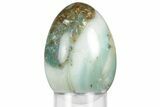Polished Sea Foam Jasper Egg - Canada #356396-1